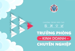 Trưởng phòng kinh doanh chuyên nghiệp