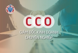 CCO - Giám đốc Kinh doanh chuyên nghiệp