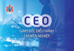 CEO – Giám đốc Điều hành chuyên nghiệp