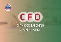 CFO – Giám đốc Tài chính chuyên nghiệp