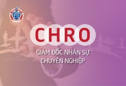 CHRO - Giám đốc Nhân sự chuyên nghiệp